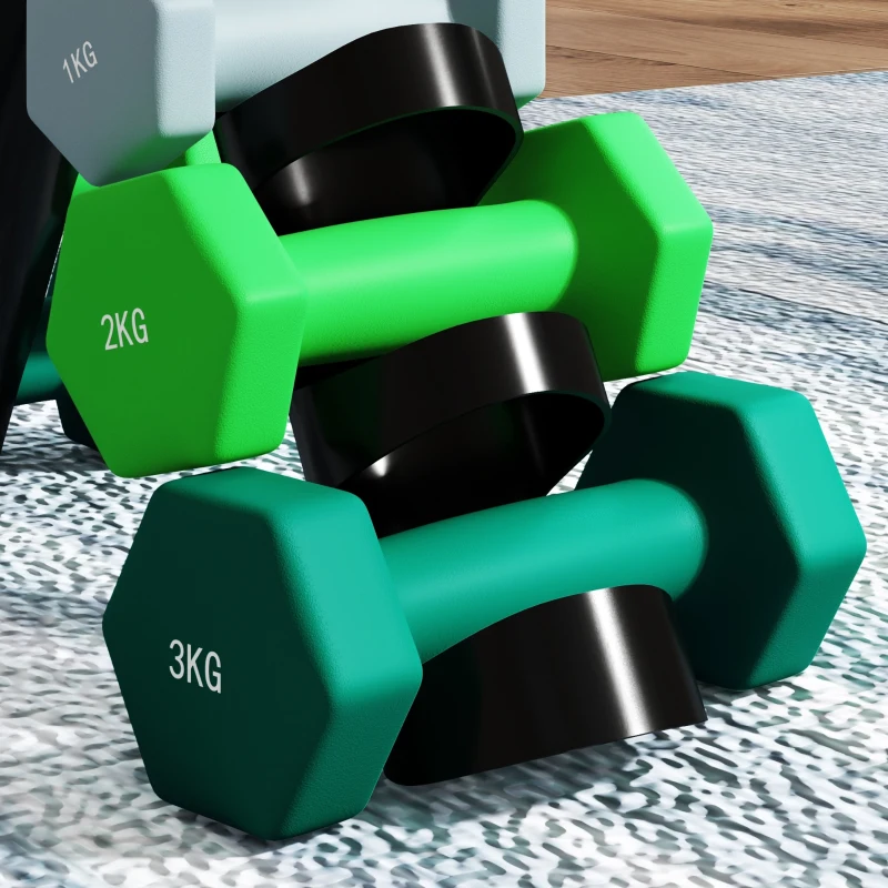 SPORTNOW Hantelset mit Aufbewahrungsgestell, Set mit 6 Hanteln für Fitness-Training, 2 x 1kg, 2 x 2kg, 2 x 3kg