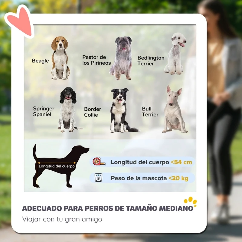 PawHut Carrito para Perros y Gatos Plegable hasta 20 kg Cochecito para Perros Medianos de 3 Ruedas de Goma y Frenos Cojín Gris