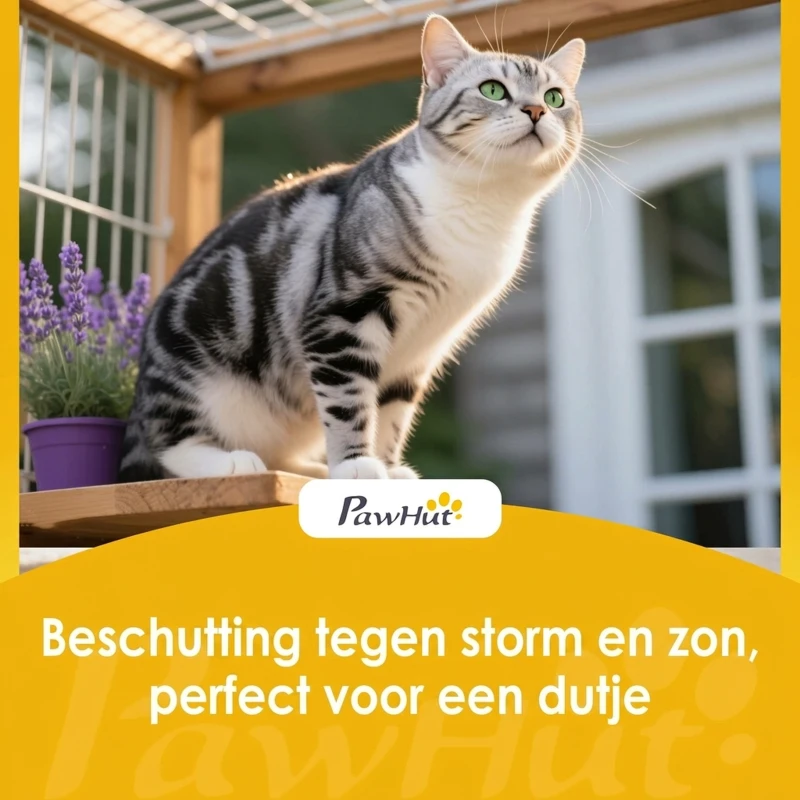 PawHut Weerbestendig kattenhuis met opklapbaar dak en uitneembare bodem, ingang voor 1-2 katten tot 12 kg, 85x55x70 cm, lichtgrijs