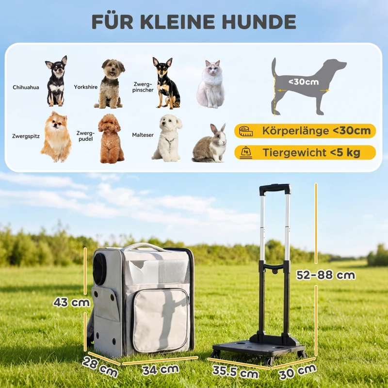 PawHut Hunderucksack 2 in 1 faltbare Transporttasche mit Rollen Rückenstütze Mesh-Fenstern Seitentasche bis 5 kg