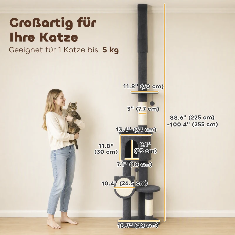 PawHut Rascador hasta el techo 225–255 cm ajustable, árbol para gatos de 5 niveles con postes de sisal, tabla rascadora, hamaca