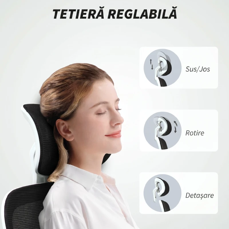 HOMCOM Scaun Ergonomic de Birou cu Înălțime Reglabilă, Brațe Rabatabile și Tetieră, 62x61x112-120 cm, Negru