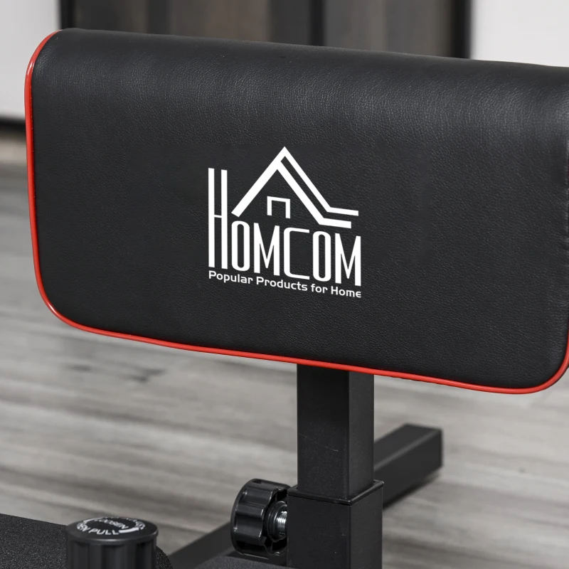 HOMCOM Sissy Squat Bench, Adjustable Squat Machine, Sit Up Machine with Push Up Stand, Leg Workout Trainer for Lower Body and Core Training, Home Gym Fitness Equipment, Black