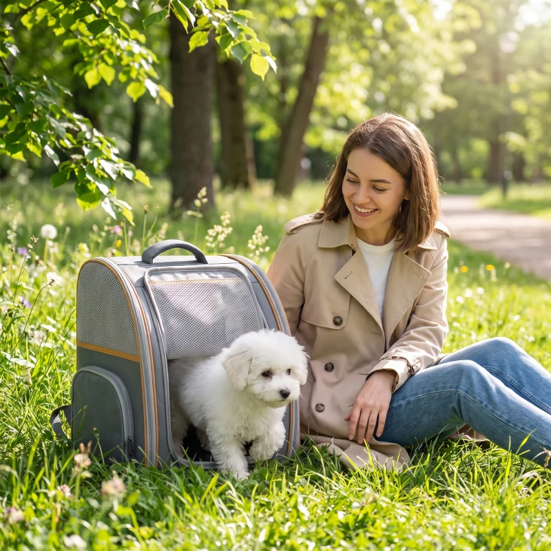 PawHut Mochila para cães dobrável mochila para gatos com janela de malha bolsos laterais fundo removível até 5 kg Cinza