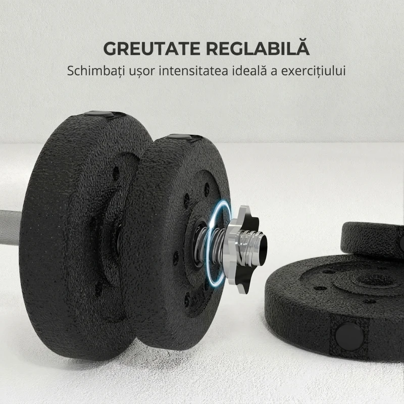 HOMCOM Set de gantere pentru sală de 25 kg în total, cu 12 discuri de greutăți și 2 bare de 2 kg, negru