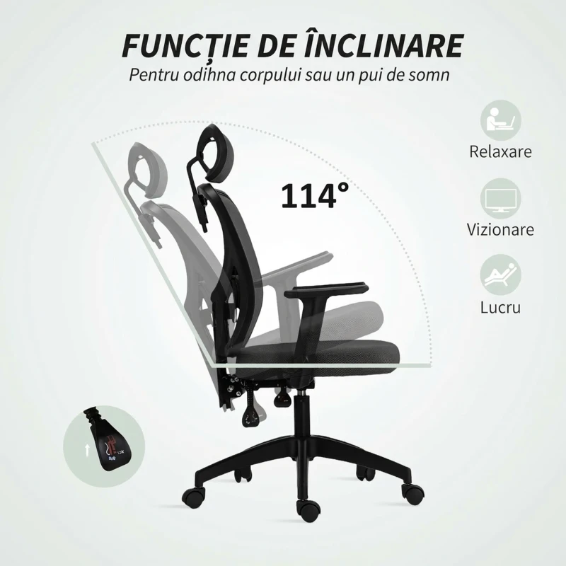 Vinsetto Scaun de birou ergonomic și reglabil cu suport lombar și tetieră, 66x61x106-116 cm, gri