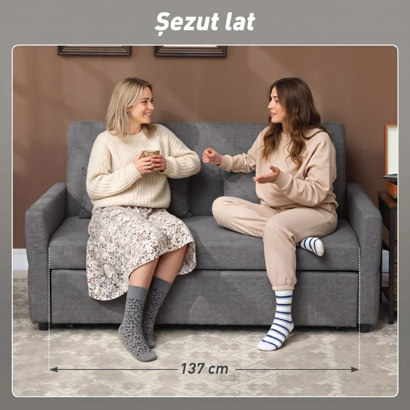 HOMCOM Canapea Extensibilă 2 Locuri 3 în 1, Tip In, cu 2 Perne, Extractibilă Click-Clack, Gri
