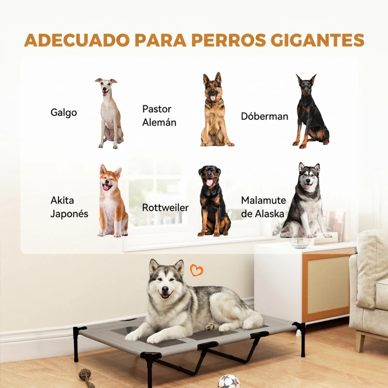 PawHut Cama Elevada para Perros Grandes Cama para Perros con Zona de Malla Transpirable y Bolsa 122x92x23 cm Gris Claro