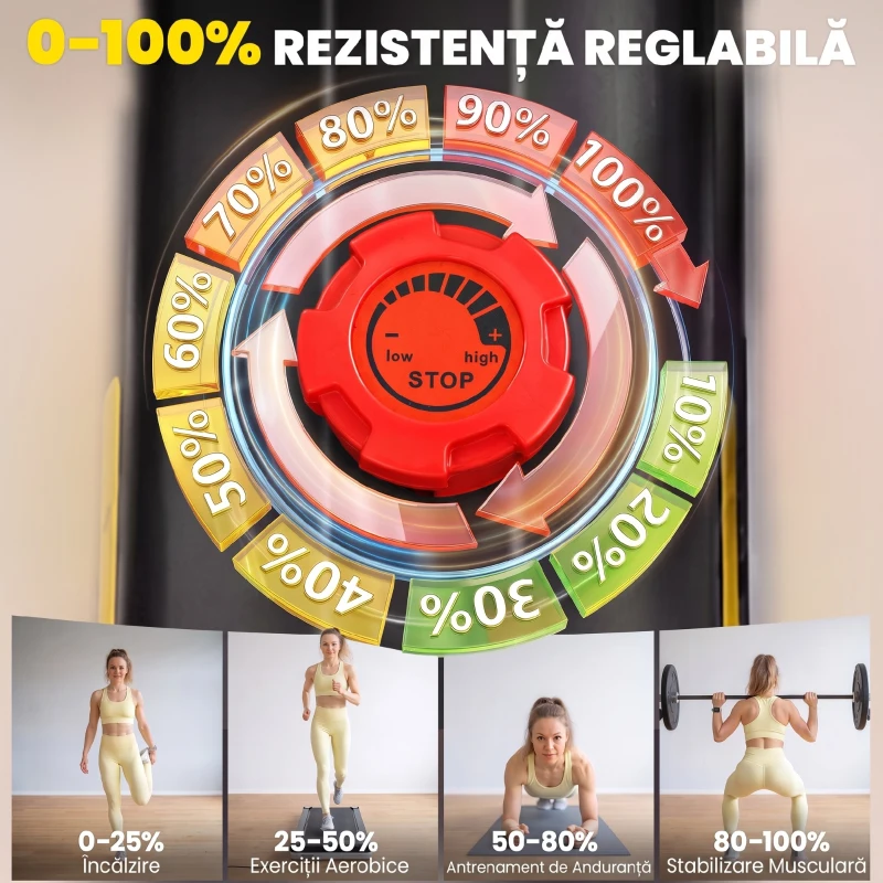 SPORTNOW Bicicletă Fitness Orizontală Magnetică cu Spătar și Monitor LCD