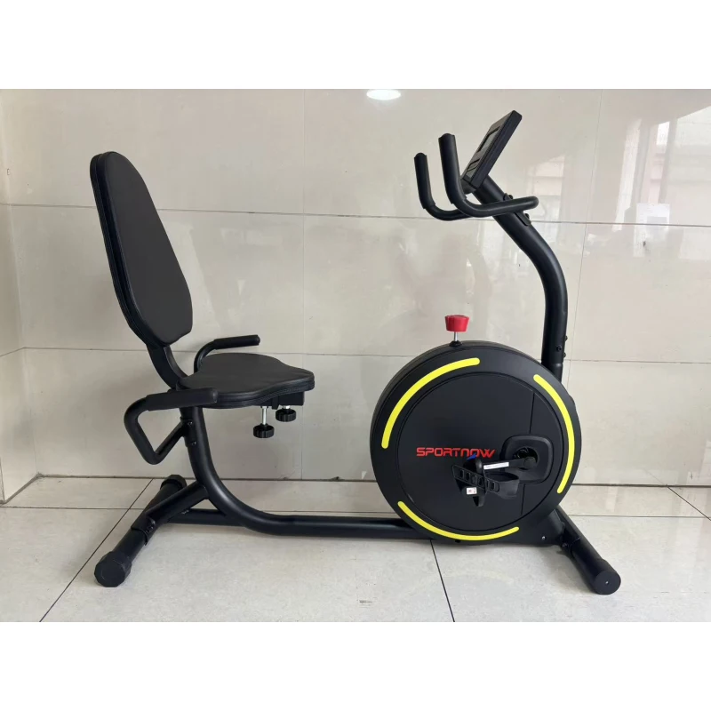 SPORTNOW Bicicletă Fitness Orizontală Magnetică cu Spătar și Monitor LCD