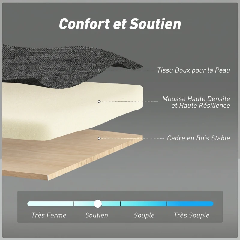 HOMCOM Canapé Convertible 2 Places 3 en 1, Canapé-Lit Clic Clac 160 cm, Dossier Réglable, Assise Large, 2 Oreillers, Gris Foncé