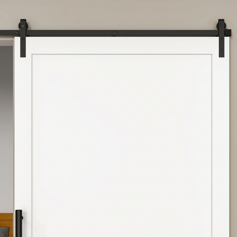 HOMCOM Kit per Porta Scorrevole in Acciaio al Carbonio con Binario 200 cm e Portata 20 kg, Nero