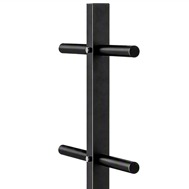 SPORTNOW Suporte para Anilhas Carga 300 kg para Discos de 25 e 50 mm com 2 Suportes para Barra para Ginásio em Casa Preto