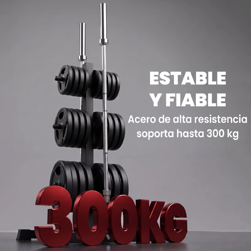 SPORTNOW Soporte para Discos de Pesas Carga 300 kg para Discos de 25 mm y 50 mm con 2 Estantes de Barra para Gimnasio Casa Negro