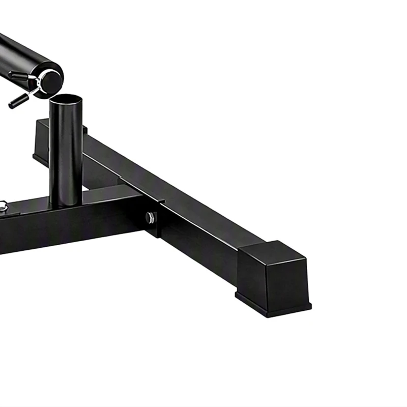 SPORTNOW Suporte para Anilhas Carga 300 kg para Discos de 25 e 50 mm com 2 Suportes para Barra para Ginásio em Casa Preto
