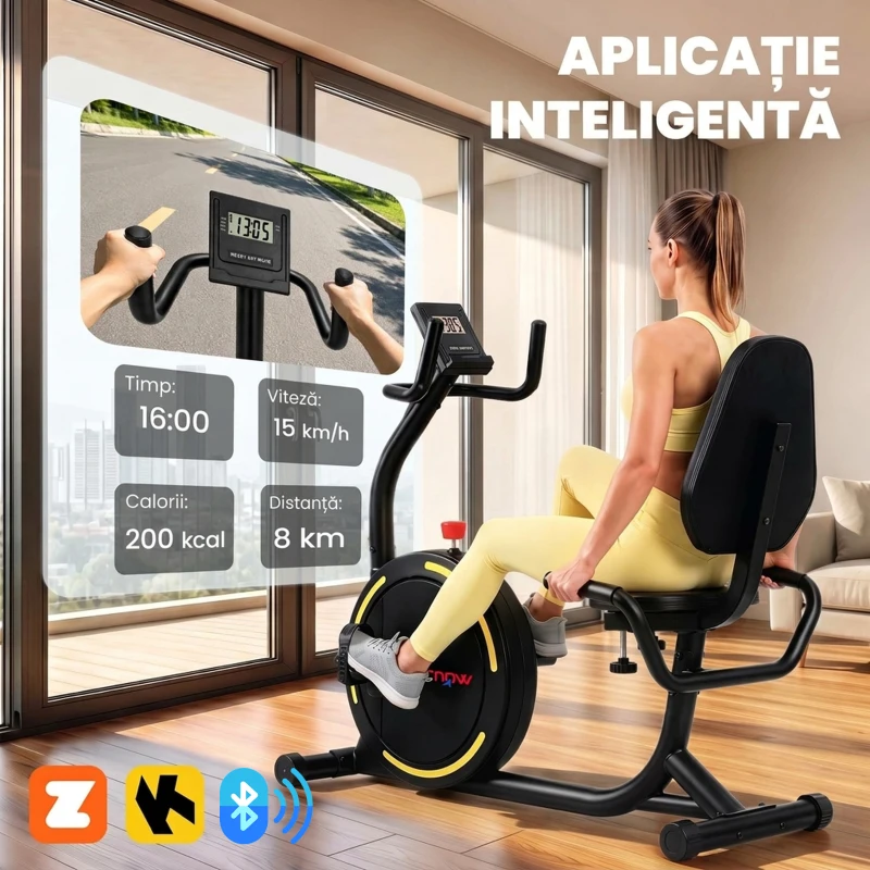 SPORTNOW Bicicletă Fitness Orizontală Magnetică cu Spătar și Monitor LCD
