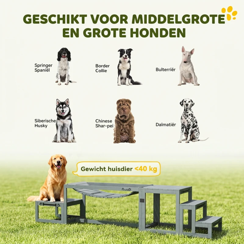 PawHut Agility-set honden 3-delig agility-uitrusting met brug, trap, platform, vurenhout, 117 x 50 x 56 cm, Grijs
