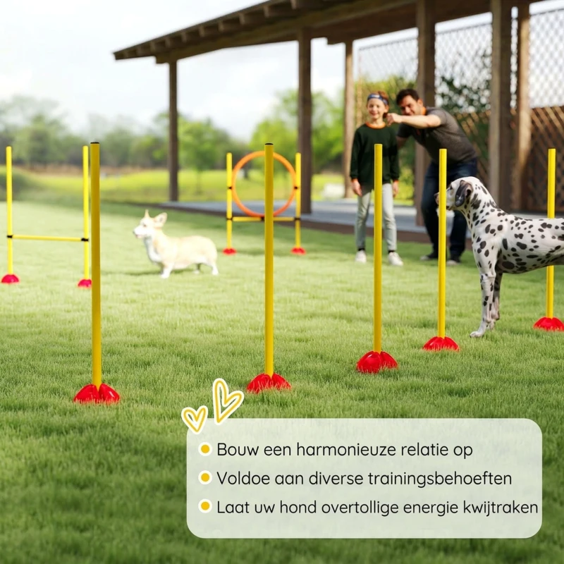 PawHut 4-Delige Agility-Set voor Honden met Vulbare Basis voor Training