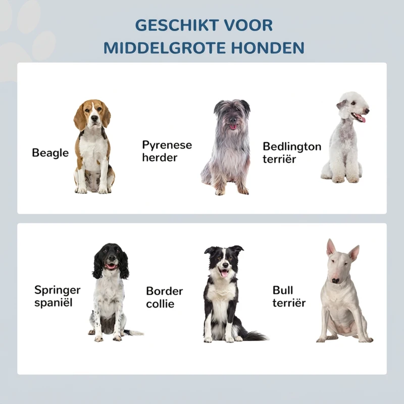 PawHut Verhoogde hondenbak voerbak huisdier rvs voerbakken MDF koffie