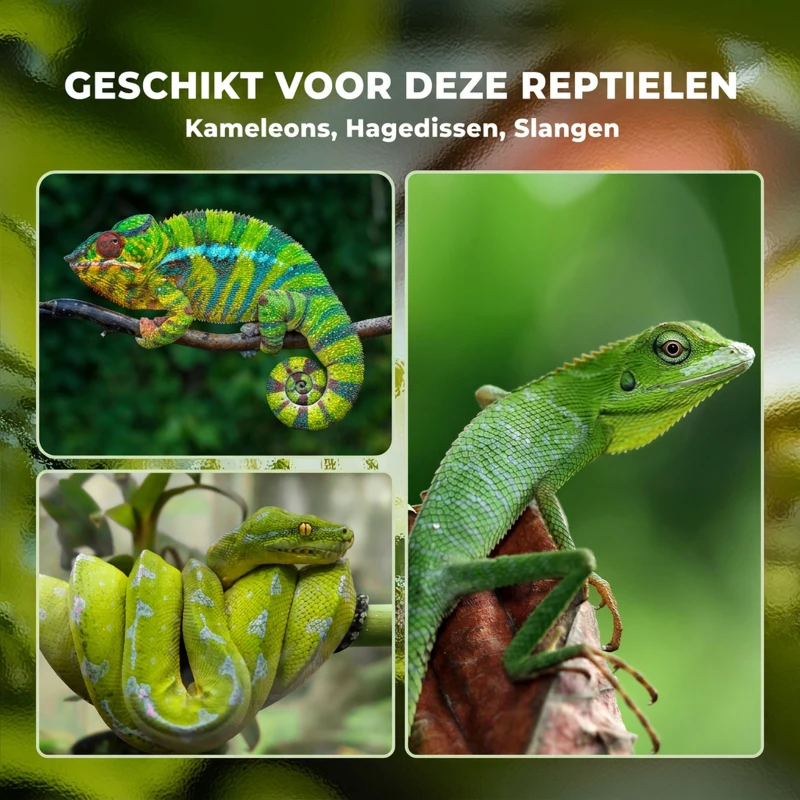 PawHut Aluminium Reptielenbox met Ventilatie - Wit+Zilver+Zwart - Ideaal voor Hagedissen, Slangen - 120 x 40 x 40 cm(m-7)