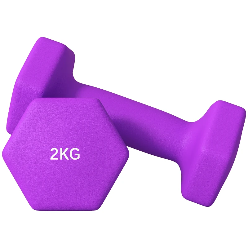 SPORTNOW Set 2 Manubri 2x2 kg Esagonali e Antiscivolo per Casa e Palestra, in Metallo e Plastica, 16x7.5x7.5 cm, Viola
