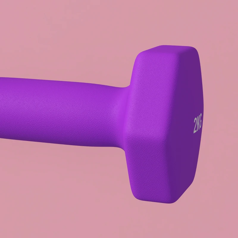 SPORTNOW Set 2 Manubri 2x2 kg Esagonali e Antiscivolo per Casa e Palestra, in Metallo e Plastica, 16x7.5x7.5 cm, Viola