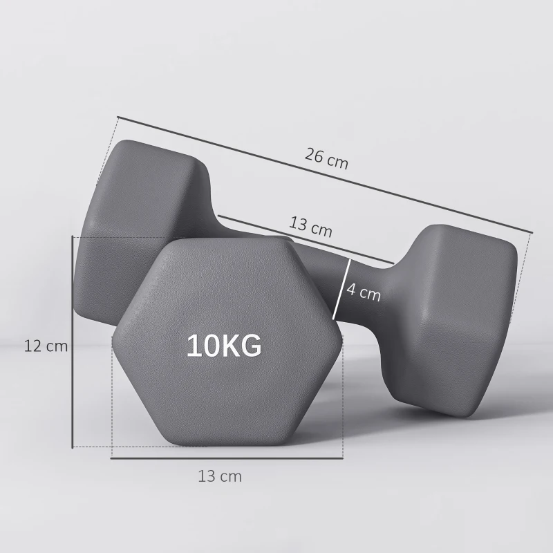 SPORTNOW Set 2 Manubri Esagonali da 2x10 kg in Metallo e Plastica con Impugnatura Antiscivolo, 26x12x12 cm, Grigio