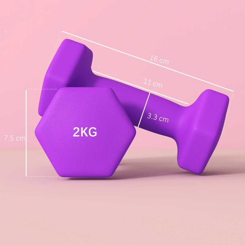 SPORTNOW Set 2 Manubri 2x2 kg Esagonali e Antiscivolo per Casa e Palestra, in Metallo e Plastica, 16x7.5x7.5 cm, Viola
