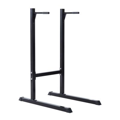 Dipstation dip dipper stang dipstaander buiktrainer rugtrainer staal