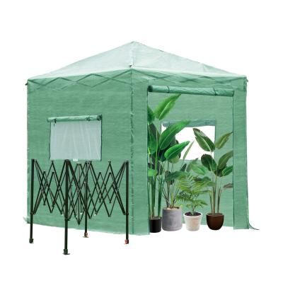 Outsunny Portable Walk in Greenhouse with Roll-up Door Windows Outdoor Foldable 2 x 2 x 2m