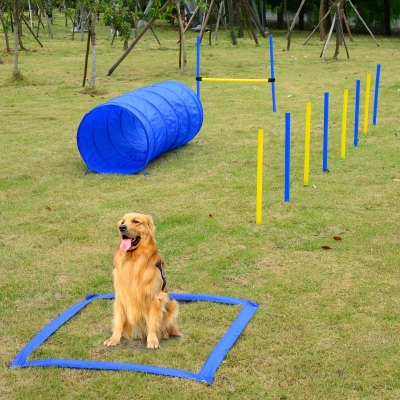 PawHut Kit Treino Agility Agilidade Cães Salto Túnel e Slalom Azul Amarelo
