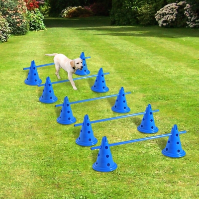 Pawhut Set of 4 Dog Agility Equipment Jumps Kit-Blue
