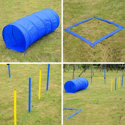 Pawhut Adjustable Pet Agility Training Set-Blue/Yellow