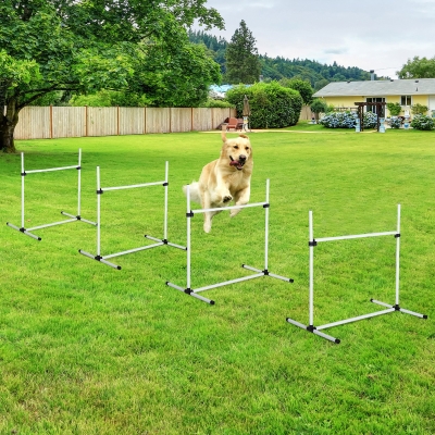 Pawhut Canine Agility Set-White