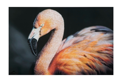 Stampa Su Tela Con Applicazioni -B- Flamingo Cm 120X3.8X80