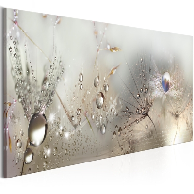 Quadro - Morning Song 150x50