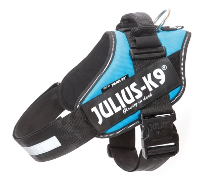 Julius K9 Power Pettorina, Misura 1, Colore Acquamarina