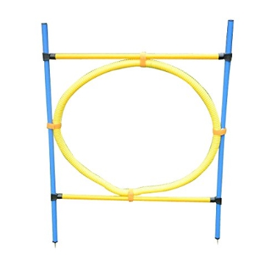 PawHut Set di Addestramento per Cani con Anello Recinto Pali Giochi