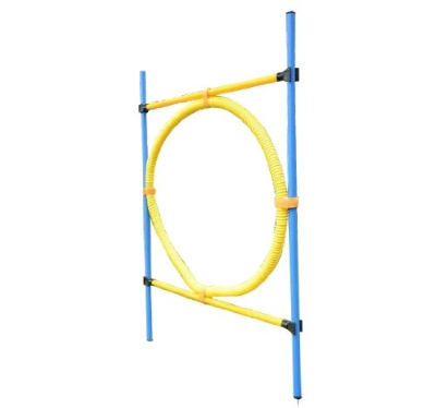 PawHut Set di Addestramento per Cani con Anello, Recinto e Pali Giochi