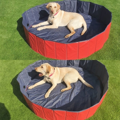 PawHut Piscina per Cani in Plastica Bordo Stabile per Animali Domestici 160 x 30 cm (ØxH)