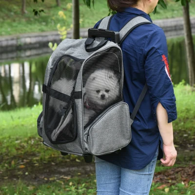 Pawhut Hondentransporttas en Huisdier Rugzak, 2-in-1 Ontwerp, Uitschuifbare Handgreep, Zijzakken, Grijs, 42 x 25 x 55 cm