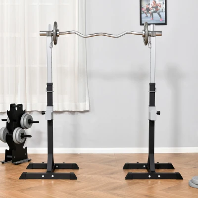 2 Rack Suport Haltere din Oţel 2 Carlige, negru