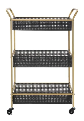 Carucior FASHION CM 56X37X81