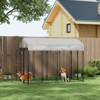 PawHut Kennel per Cani da Esterno con Tetto e Porta a 2 Sezioni