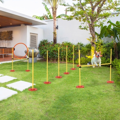 PawHut Treino de Agilidade para Cães de 3 Peças Kit Agility com Obstáculos de Salto Aro Poste com Altura Ajustável  Amarelo