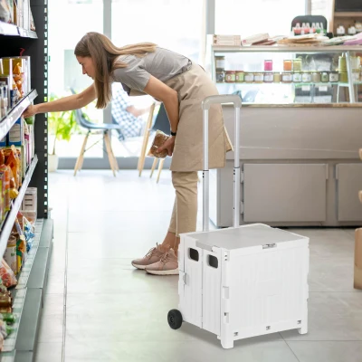 HOMCOM Carrinho de Armazenamento Dobrável Carrinho de Compras com 2 Rodas Capacidade 32L para Casa 41,5x32,5x85 cm Branco