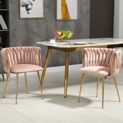 (lot de 2)Ensemble de chaises de salle à manger modernes en velours luxueux, Rose