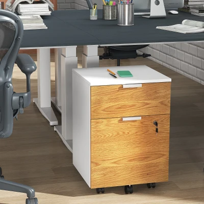 HOMCOM Büroschublade, Aufbewahrungsschrank 2 Schubladen 2 Aufhängestangen für Hängeregistratur, abschließbar mit 2 Schlüsseln 42x40x60 cm