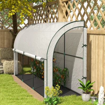 Outsunny Serre adossée au mur, Maison de plantes accessible, Film en plastique, 300 x 80 x 157 cm, Blanc