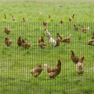 PawHut Maschendrahtzaun 1,22m Höhe 10 m Längen 100 x 50mm Maschenweite 2.1 mm Drahtstärke Drahtzaun aus Stahl Drahtgeflecht Maschendraht Gartenzaun Drahtgitter Kaninchendraht für Garten, Haus, Hof